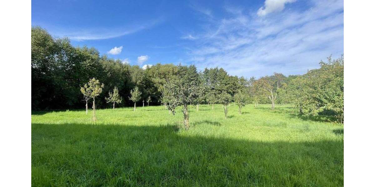 Terrassenwohnung Kronberg - 2 Zimmer, 45 m&sup2;, 349.900&euro; | Angebot:25278879