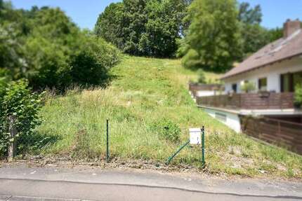 Grundstück Weißenborn - 11.000&euro; | Angebot:21322454