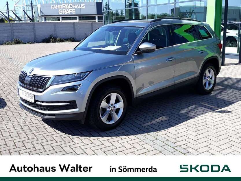Skoda Kodiaq 114.480 km 19.900 € Rastenberg 99636