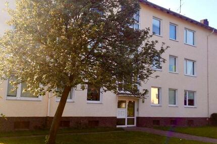 3 12 ZKB -WOHNUNG 80 QM EG MIT SÜD-TERRASSE zimmer