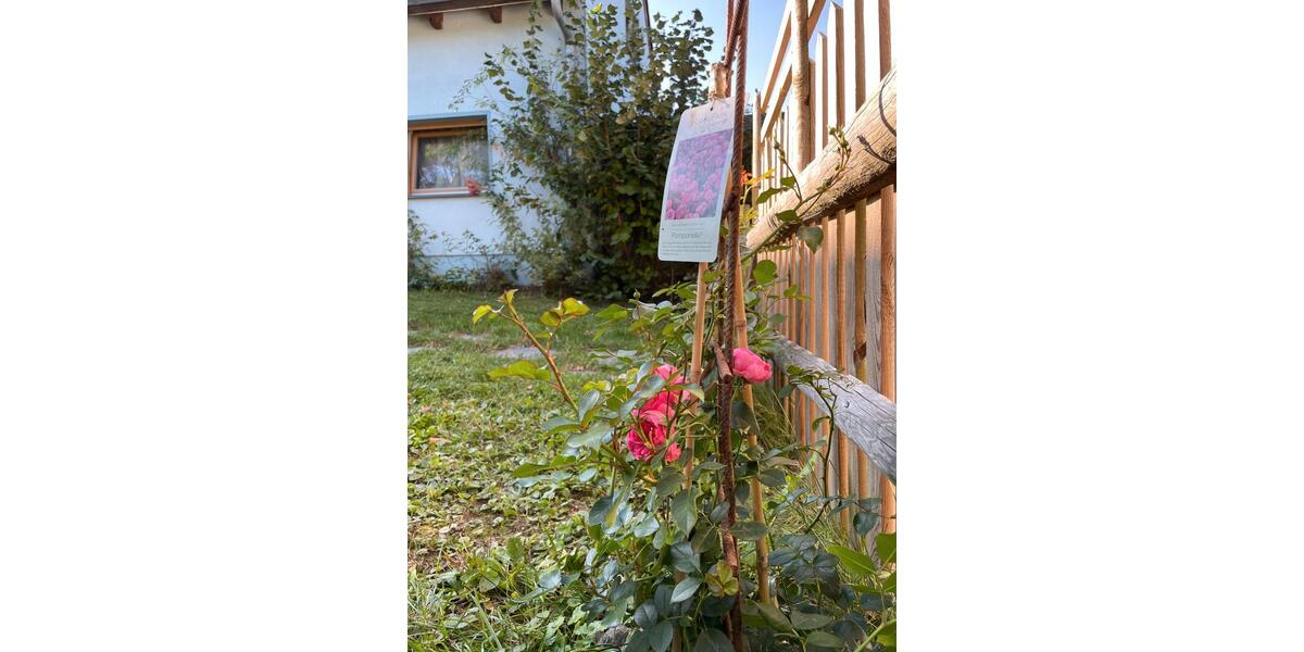 Doppelhaushälfte Plauen Alt Chrieschwitz - 7 Zimmer, 155 m&sup2;, 345.000&euro; | Angebot:26382917