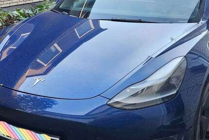Tesla Model 3 73.000 km 29.000 &euro; Hamburg 22547