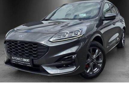 Ford Kuga 14.500 km 30.990 € Frankenthal 67227