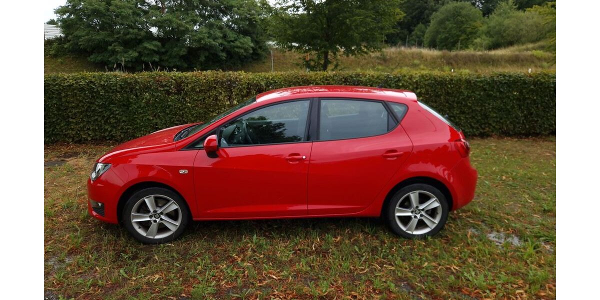 Seat Ibiza 110.000 km 7.650 &euro; Meckenbeuren 88074