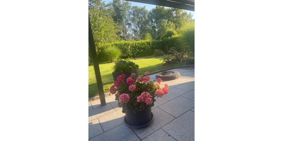 Einfamilienhaus Schneverdingen - 7 Zimmer, 270 m&sup2;, 625.000&euro; | Angebot:26044214