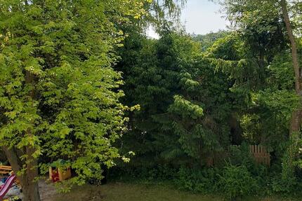 Wohnung Marburg Marbach - 5 Zimmer, 130 m&sup2;, 1.400&euro; | Angebot:26301284