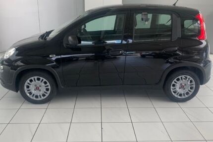 Fiat Panda 9.620 km 11.350 &euro; Rheine 48432