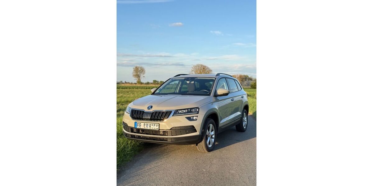 Skoda Karoq 93.000 km 19.000 &euro; Riedstadt 64560
