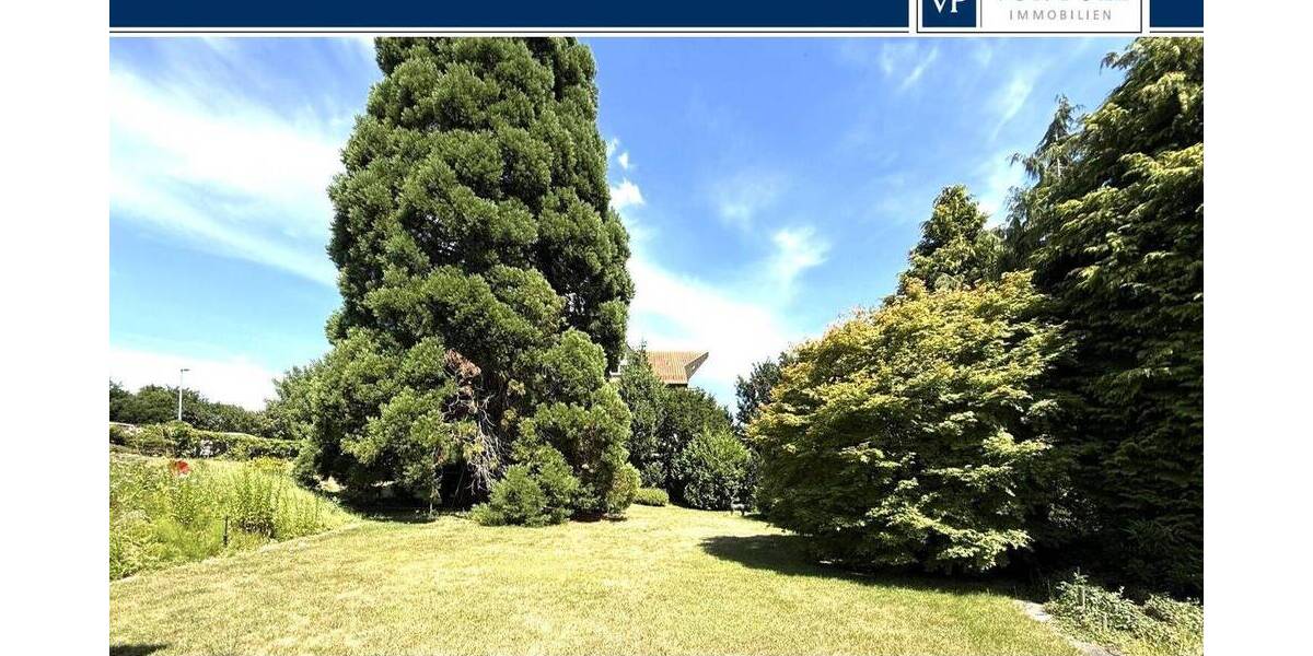 Ein Sonnenplatz für Ihr neues Zuhause zimmer