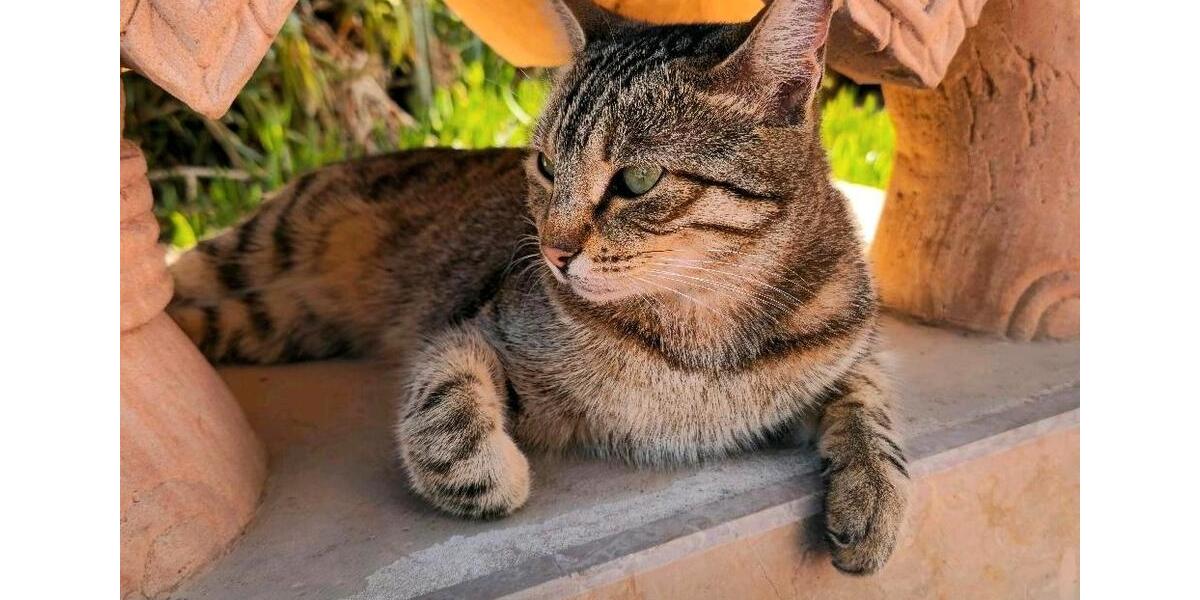 Etagenwohnung Wörth am Rhein - 3 Zimmer, 91 m&sup2;, 280.000&euro; | Angebot:25551729