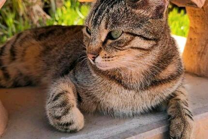 Wohnung Wörth am Rhein - 3 Zimmer, 91 m&sup2;, 280.000&euro; | Angebot:25551729