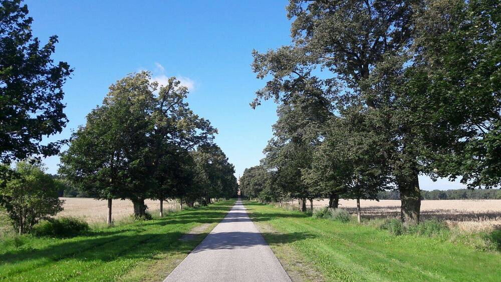 Grundstück Fehrbellin Brunne - 170.000&euro; | Angebot:21931167