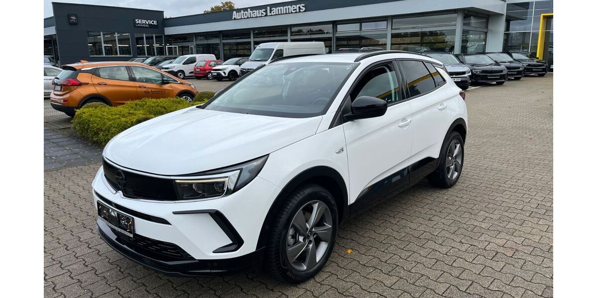 Opel Grandland (X) 9.673 km 26.890 &euro; Wietmarschen / Lohne 49835