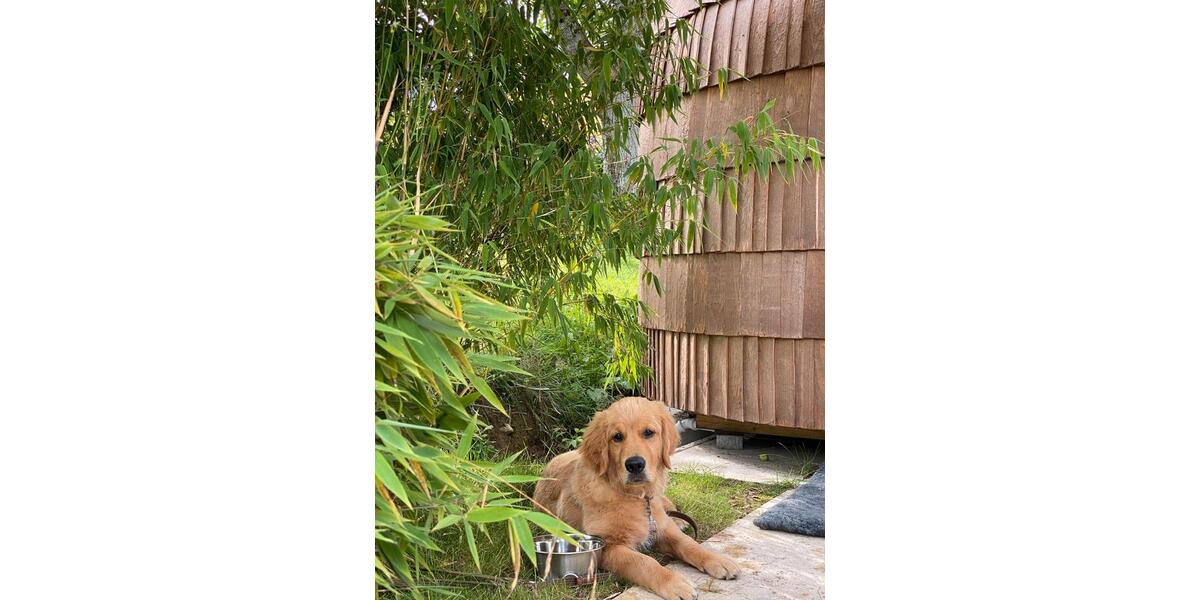 Einfamilienhaus Sigmarszell - 1 Zimmer, 20 m&sup2;, 1.400&euro; | Angebot:26072121