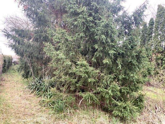 Grundstück Brandenburg an der Havel Dom - 136.110&euro; | Angebot:23114000