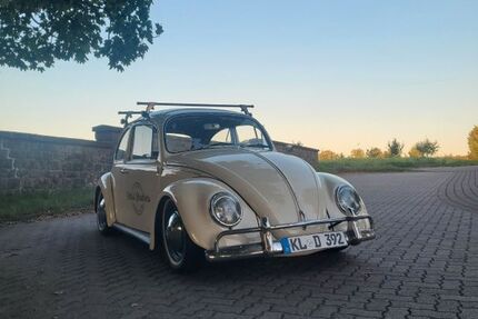 VW Käfer 66.580 km 12.000 € Mehlbach 67735