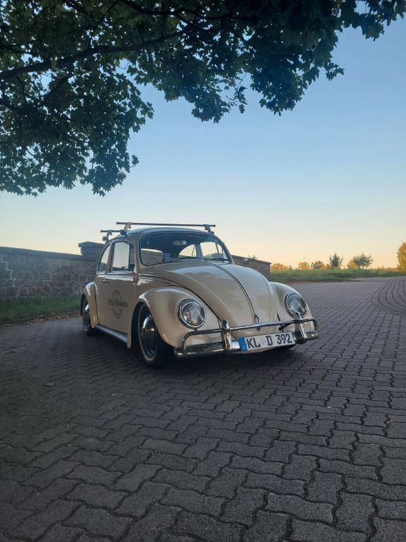 VW Käfer 66.580 km 12.000 € Mehlbach 67735