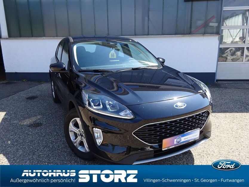 Kuga