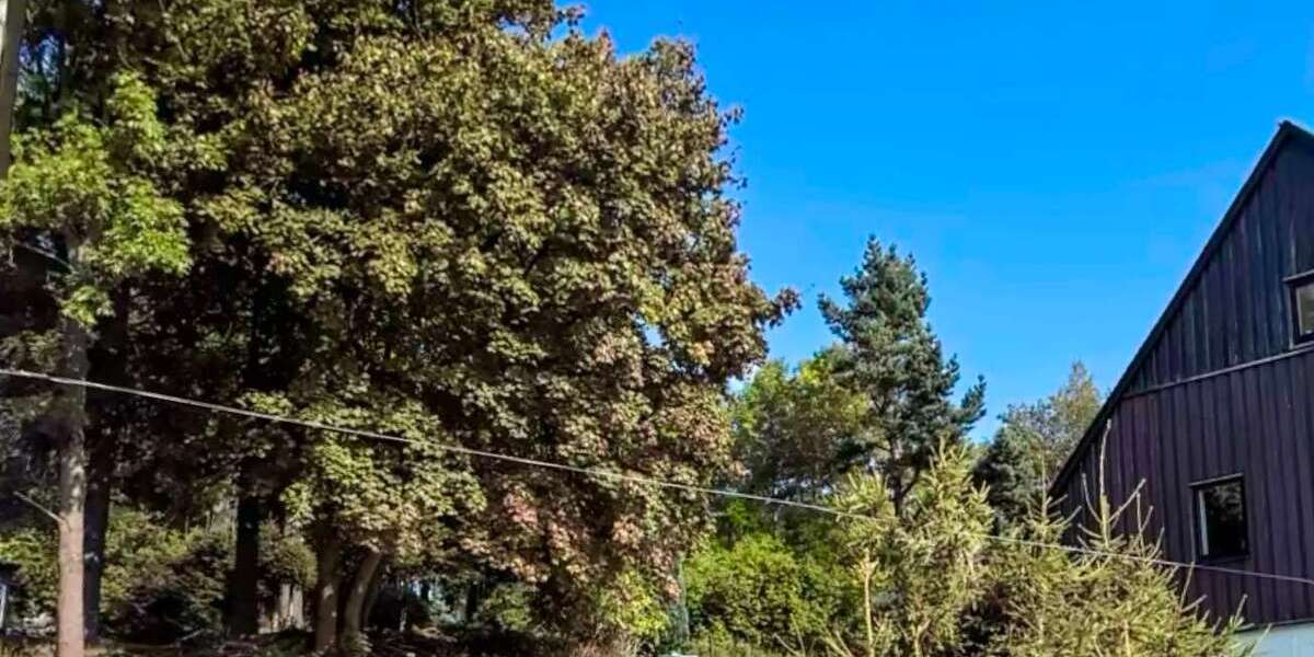 Grundstück Altenberg - 26.000&euro; | Angebot:19548237