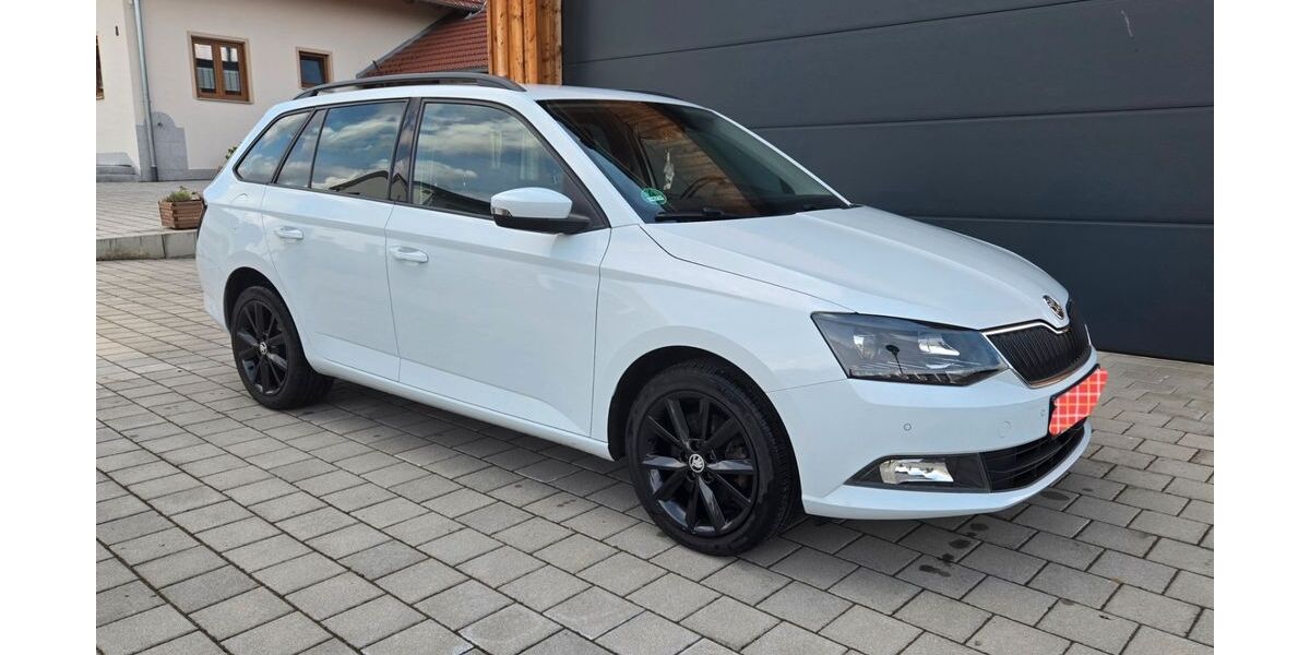 Skoda Fabia 76.155 km 11.000 &euro; Neukirchen 93453