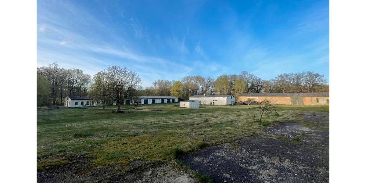 Einfamilienhaus Uckerland - 660.000&euro; | Angebot:26645993