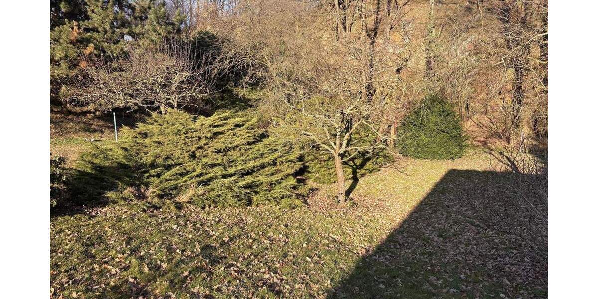 Einfamilienhaus Leisnig Bockelwitz - 6 Zimmer, 90 m&sup2;, 90.000&euro; | Angebot:25821936