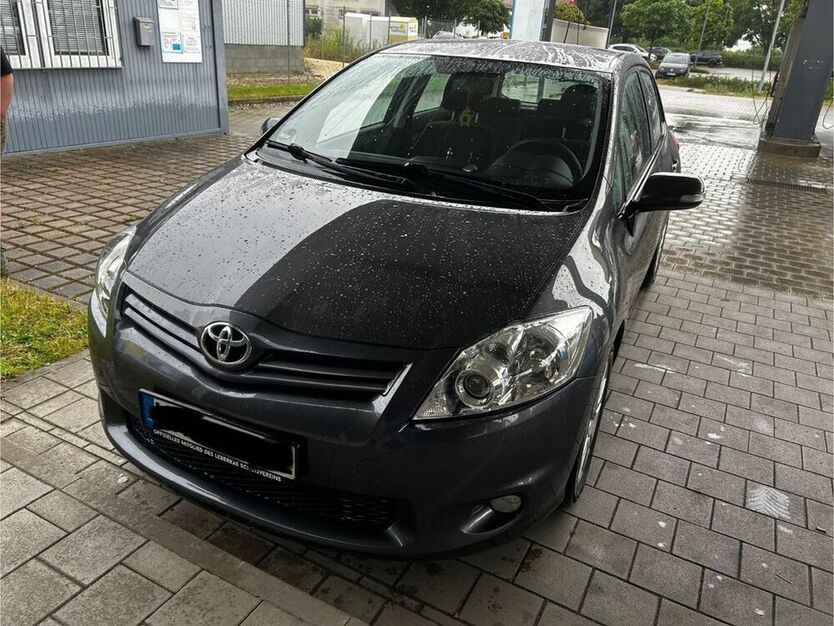 Auris