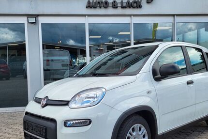 Fiat Panda 6.700 km 11.719 € Heddesheim 68542