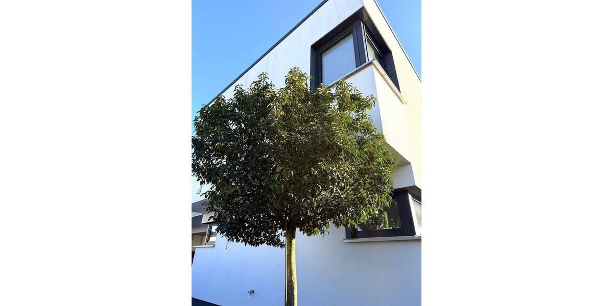Einfamilienhaus Ahrensfelde Lindenberg - 5 Zimmer, 220 m&sup2;, 999.000&euro; | Angebot:26376089