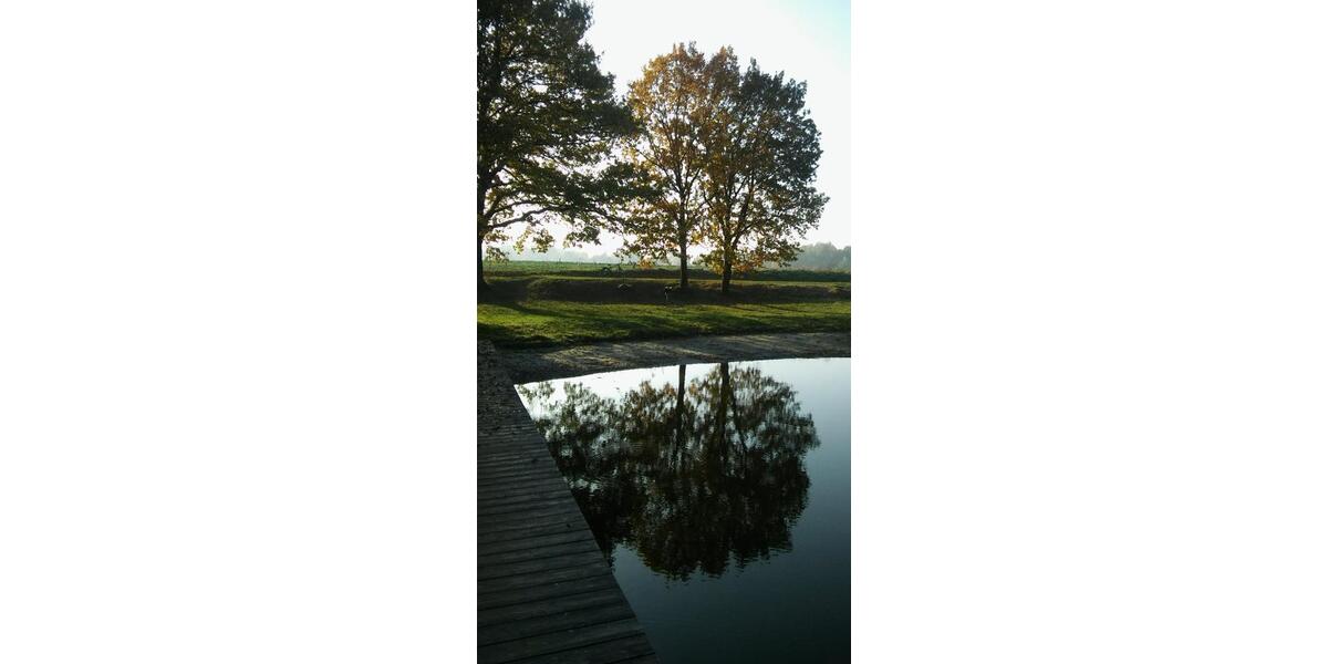 Einfamilienhaus Dummerstorf - 5 Zimmer, 178 m&sup2;, 396.000&euro; | Angebot:25342903