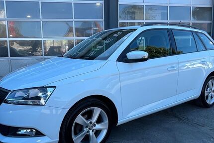 Skoda Fabia 112.398 km 8.490 € Springe 31832
