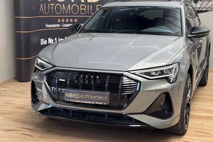 Audi e-tron 90.600 km 31.700 &euro; Rastede/ Wahnbek 26180