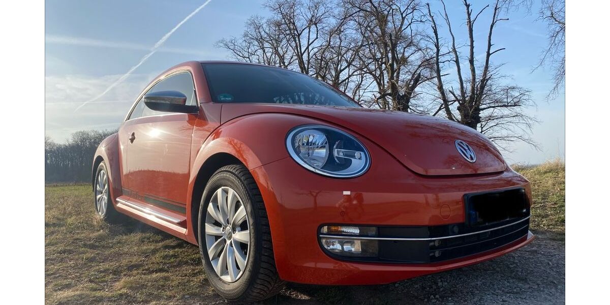 VW Beetle 74.611 km 13.350 &euro; Ermsleben 06463