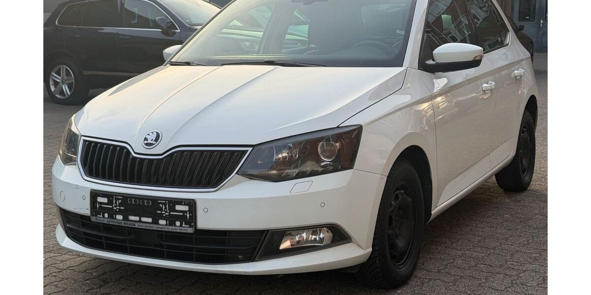 Skoda Fabia 298.000 km 3.790 &euro; Wasbek 24647