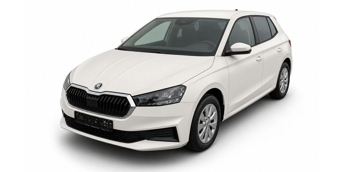 Skoda Fabia 59.520 km 12.950 &euro; Wardenburg 26203