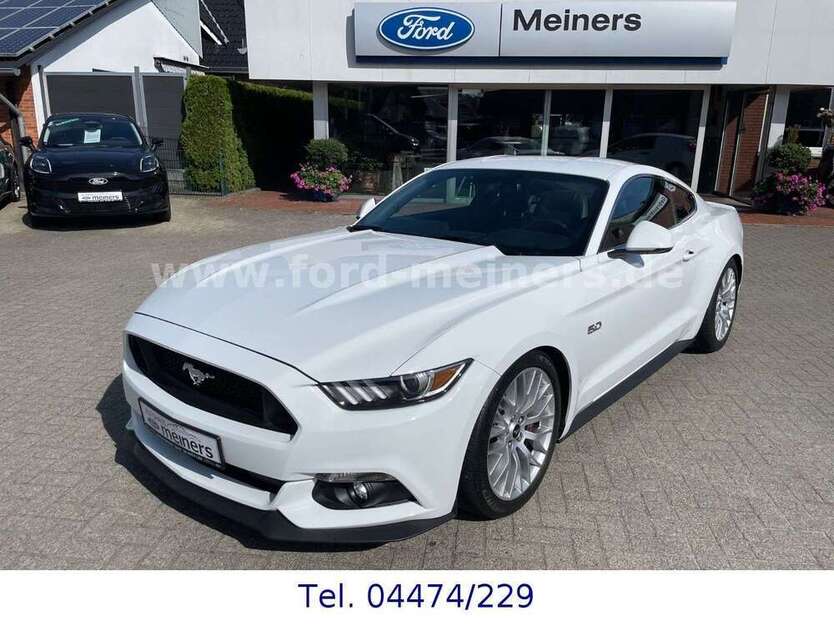 Mustang