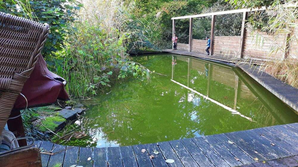 Einfamilienhaus essen Heidhausen - 7 Zimmer, 160 m&sup2;, 890.000&euro; | Angebot:25547198