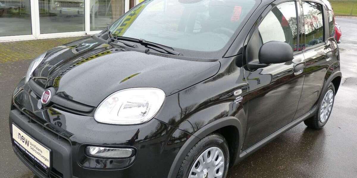 Fiat Panda 1.100 km 13.899 &euro; Oberviechtach 92526