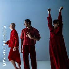 Blutbuch 07.02.2026 Ballhof