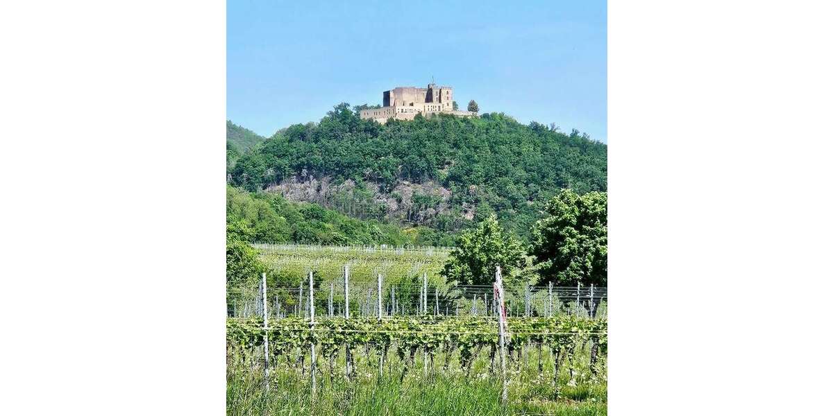 Haus zum Kaufen in Maikammer 920.000 € 259 m² 6 zimmer