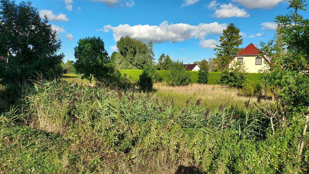 Grundstück Woldegk Canzow - 21.650&euro; | Angebot:22632051