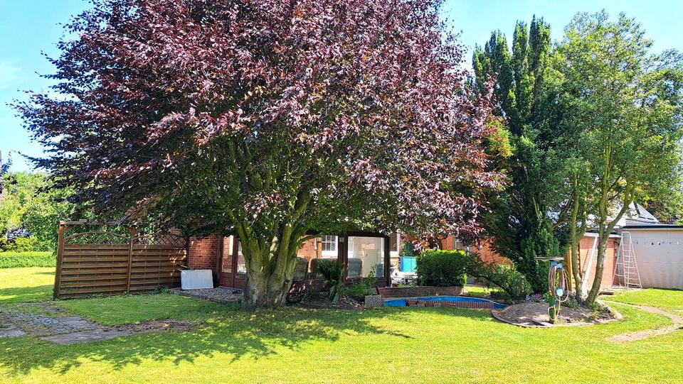 Einfamilienhaus Schülp bei Rendsburg - 4 Zimmer, 115 m&sup2;, 389.000&euro; | Angebot:27239579