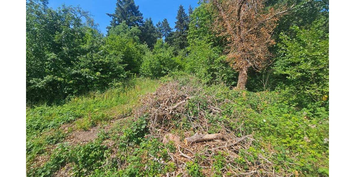 Grundstück Bündigen Büdingen - 525.000&euro; | Angebot:26796236