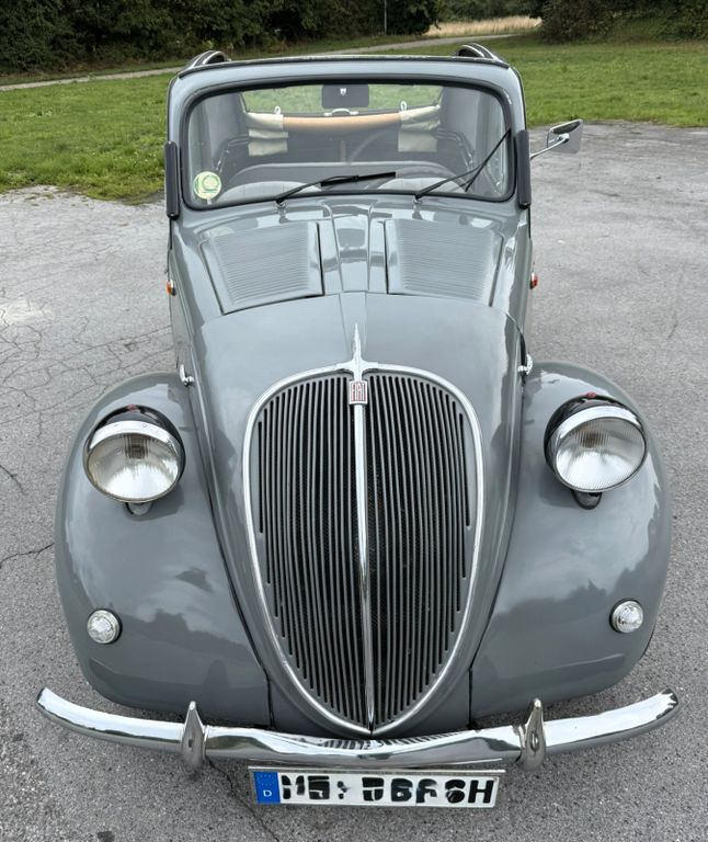 Topolino