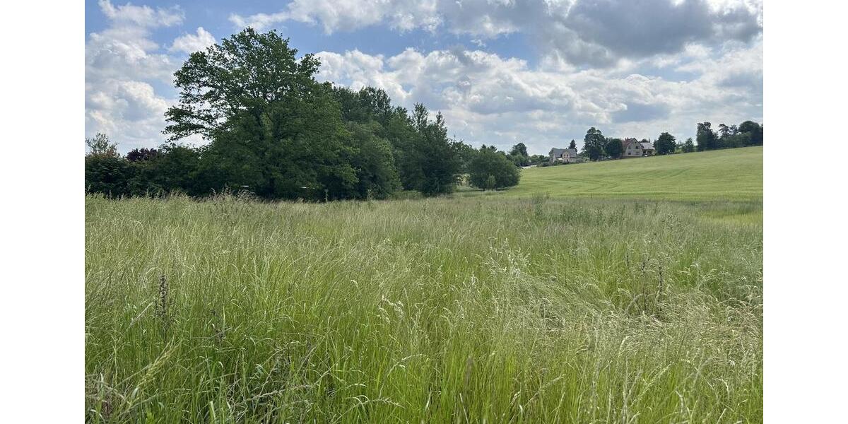 Grundstück Reichenbach im Vogtland - 115.000&euro; | Angebot:19815699