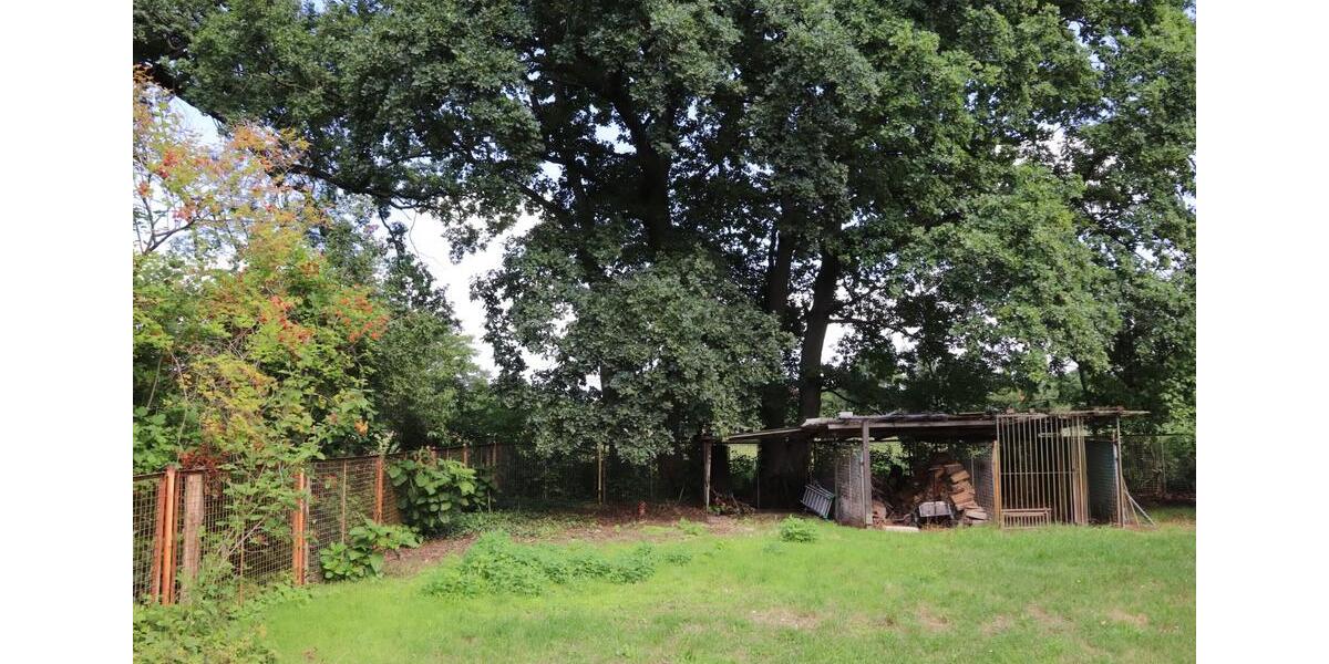 Niedrigenergie- Familienwohnung mit außergewöhnlichem Grundriss 4 zimmer