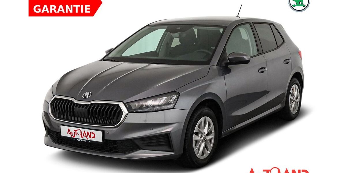 Skoda Fabia 53.550 km 16.990 &euro; Bautzen 02625
