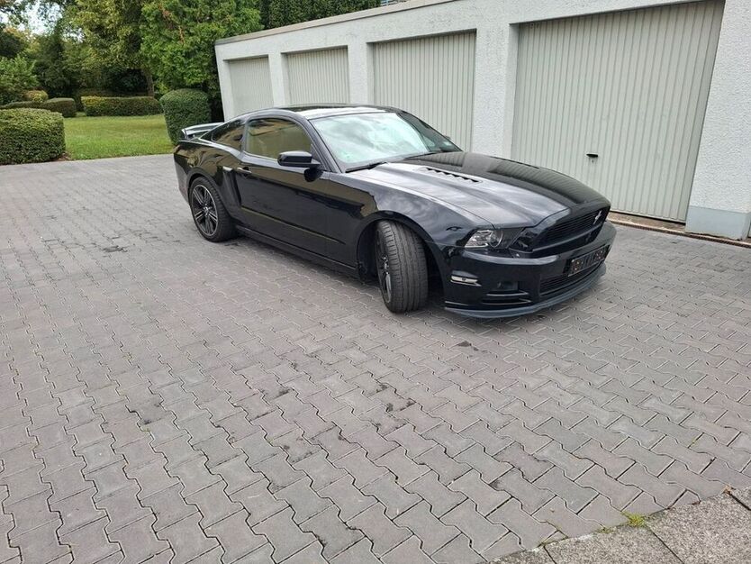 Mustang