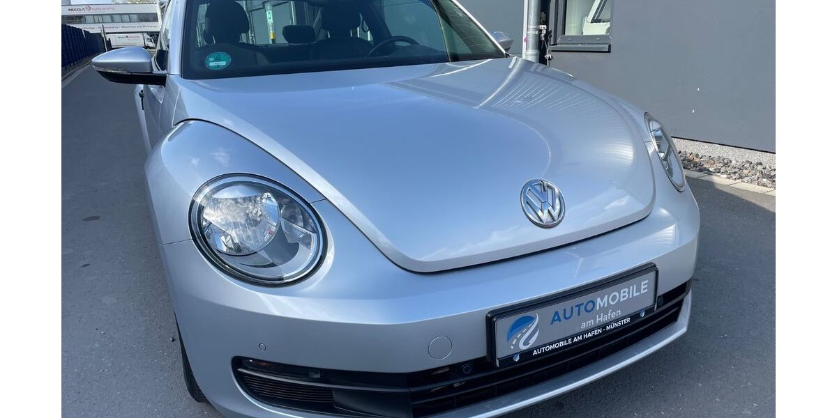 VW Beetle 105.000 km 11.490 &euro; Münster 48155