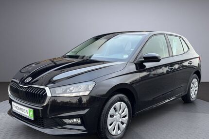 Skoda Fabia 1.100 km 17.990 &euro; Kropp 24848